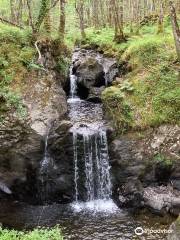 Galloway Forest Park