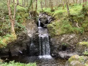 Galloway Forest Park
