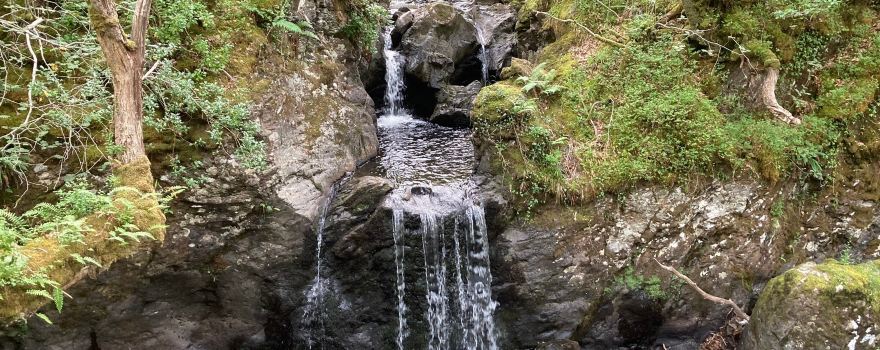 Galloway Forest Park