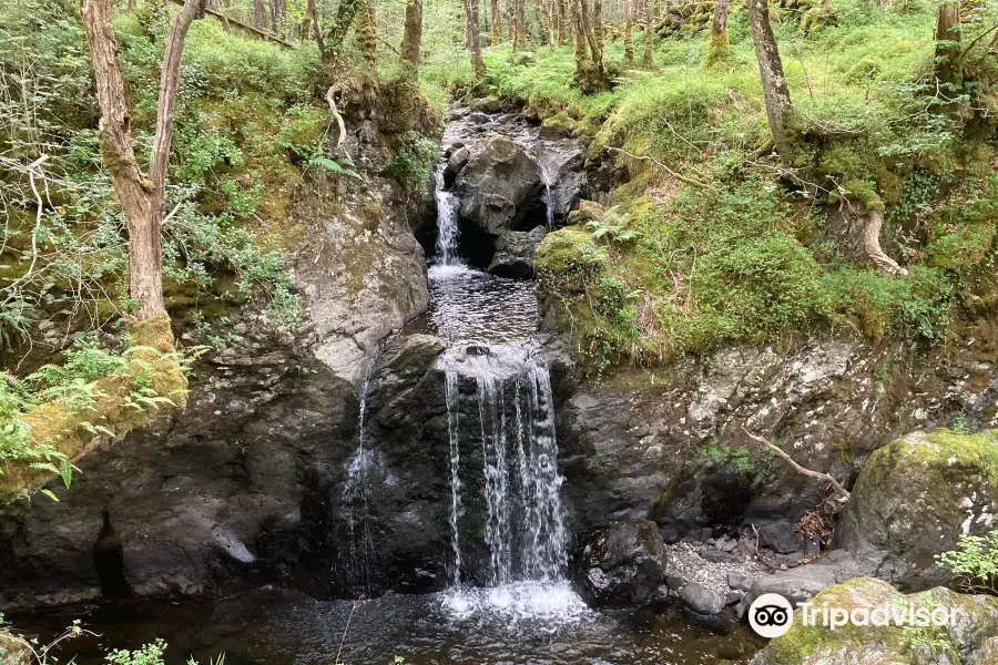 Galloway Forest Park