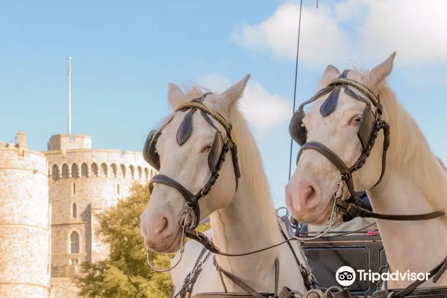 Windsor Town Horse Drawn Carriages