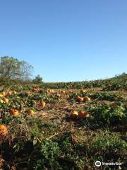 Dittmar Farms and Orchard