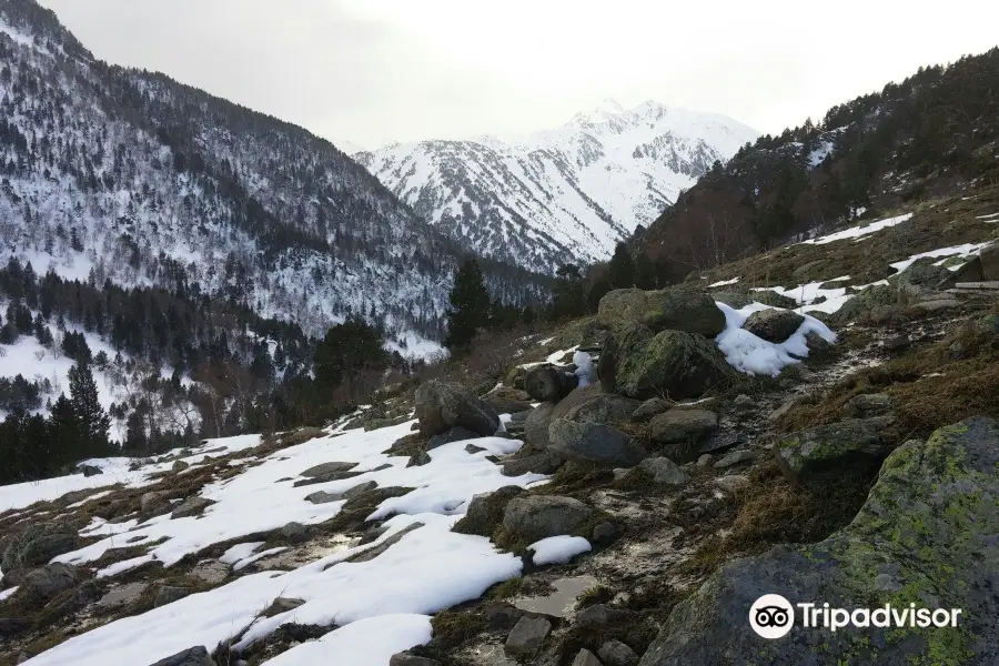 Canya de la Rabassa-Pla de Sorteny Trail