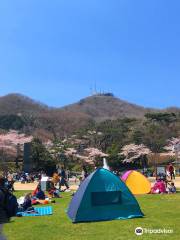 函館公園こどものくに