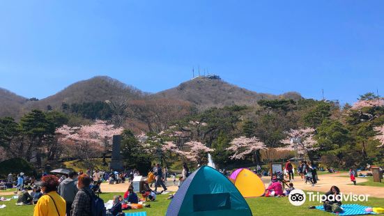 函館公園こどものくに