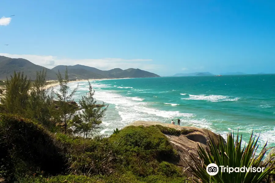 Garopaba Beach