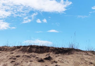 Kalajoki Sand Dunes