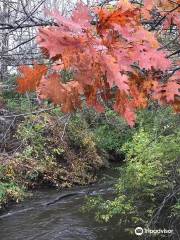 Paint Creek Trail