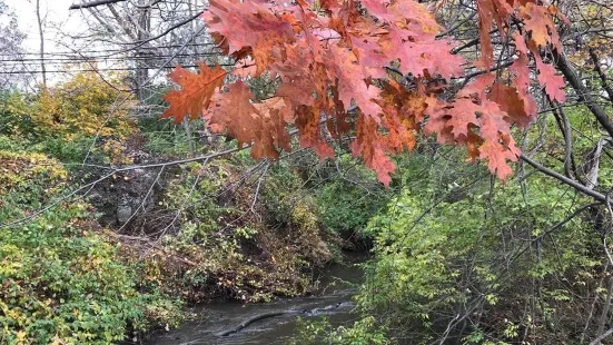 Paint Creek Trail