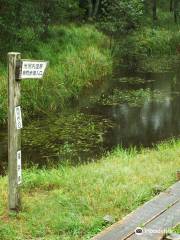 Ikenokochi Wetlands