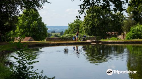 Hestercombe House & Gardens