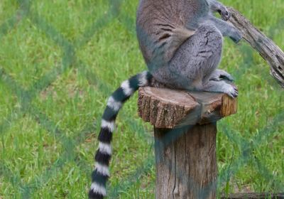 Tierpark Ueckermünde