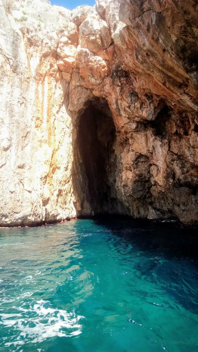 Leuca