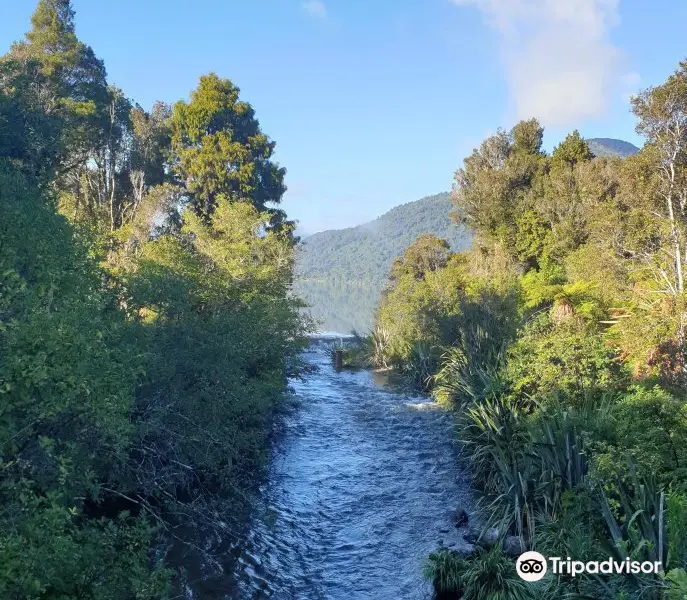 Lake Kaniere Scenic Reserve