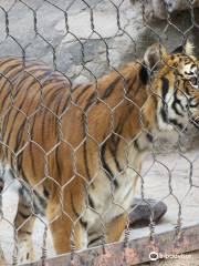 Jardin Zoologico