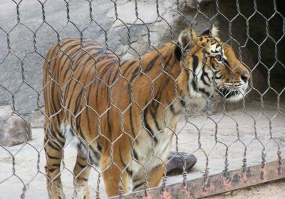 Jardin Zoologico