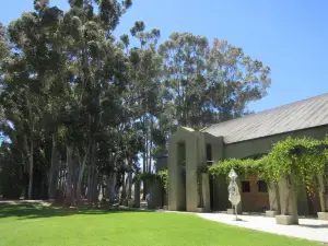 Saronsberg Wine Cellar