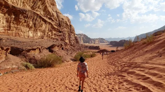 Wadi Rum Fire Camp