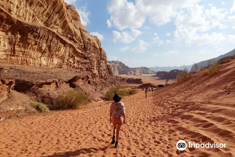 Wadi Rum Fire Camp