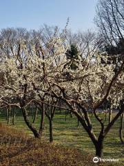 Namsan Outdoor Botanical Garden