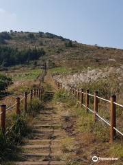 Baekyaki Oreum Volcanic Cone