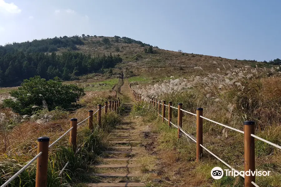 Baekyaki Oreum Volcanic Cone