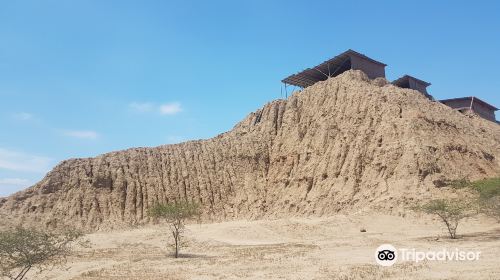 Museo de Sitio de  Tucume