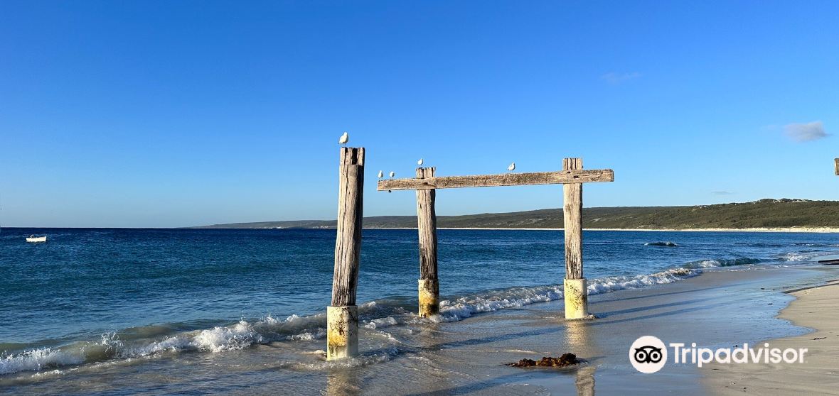 Things to Do in Hamelin Bay in 2024 - Top Attractions, Local Food