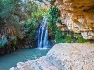 En Gedi Nature Reserve