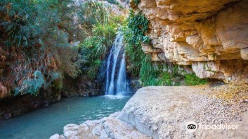 En Gedi Nature Reserve