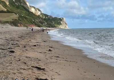 Branscombe Beach