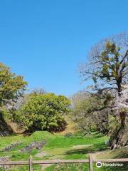 Kumamoto Castle Honmaru palace