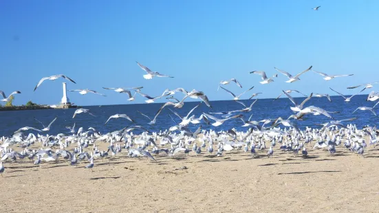 Nickel Plate Beach