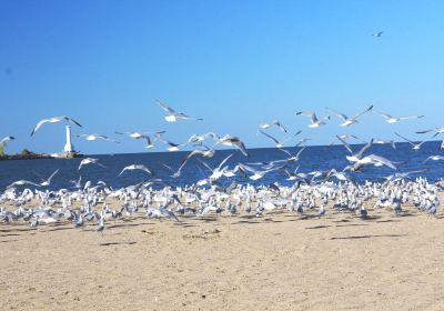 Nickel Plate Beach