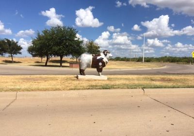 Goodfellow AFB