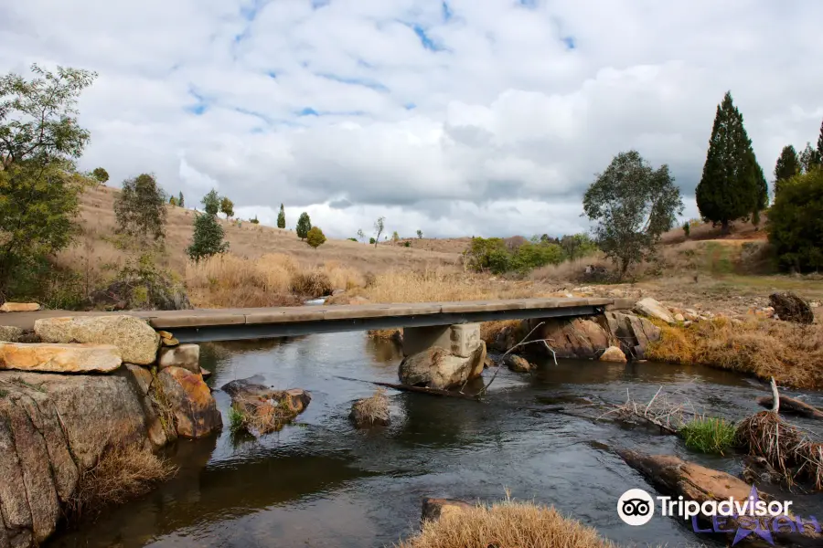 Adelong Falls Rd