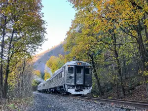 Lehigh Gorge Scenic Railway: Trademark of the Reading & Northern Railroad