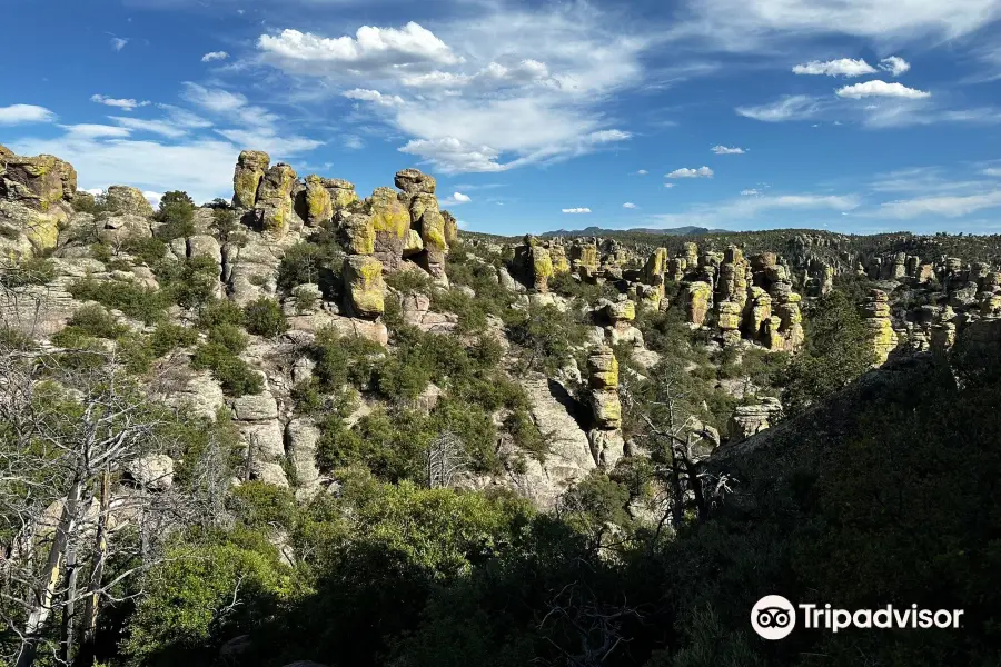 Chiricahua National Monument