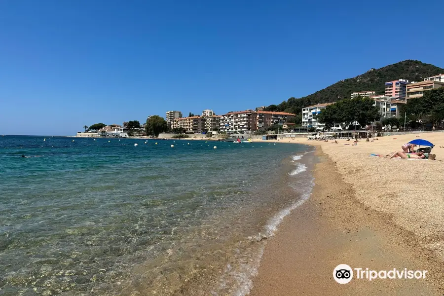 Plage du Trottel