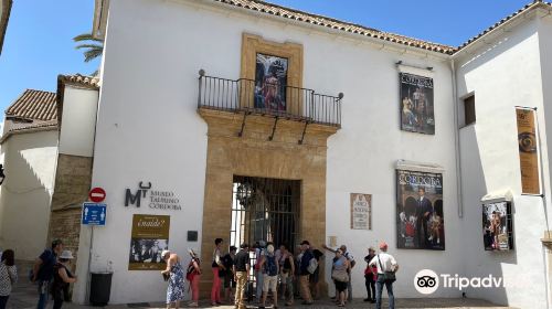 Museo Municipal Taurino