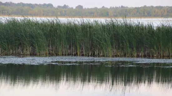 Mac Johnson Wildlife Area