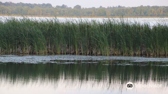 Mac Johnson Wildlife Area