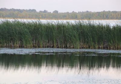 Mac Johnson Wildlife Area