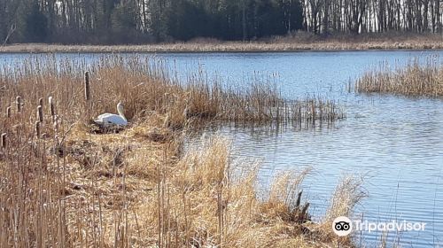 Presqu'ile Provincial Park