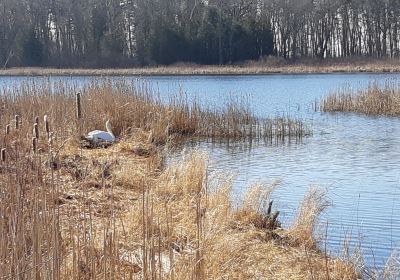 Presqu'ile Provincial Park