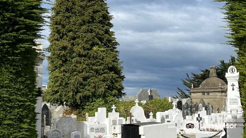 Cementerio Municipal