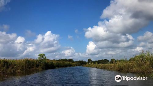 Thale Noi Waterbird Park