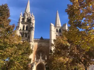 Mende Cathedral