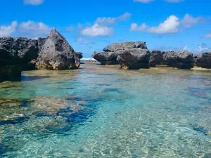 Piscine Naturelle