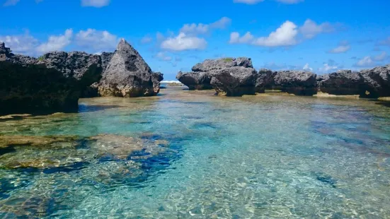 Natural pool